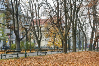 Krakow, Polonya - 27 Kasım 2019: Santral - Şehir Parkı