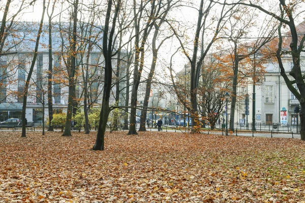 Kraków, Polska - 27 listopada 2019: Planty - park miejski — Zdjęcie stockowe