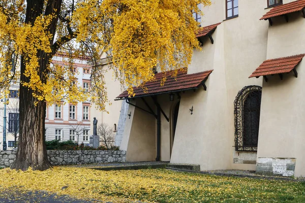 Krakow, Polonya - 27 Kasım 2019: Santral - Şehir Parkı — Stok fotoğraf