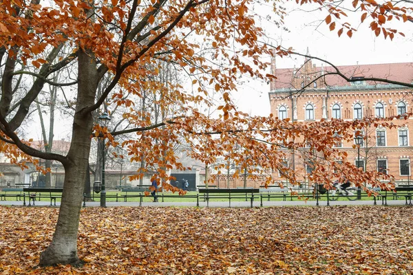 Krakow, Polonya - 27 Kasım 2019: Santral - Şehir Parkı — Stok fotoğraf