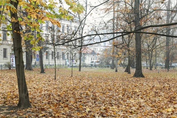 Krakau, Polen - 27 november 2019: Planty - stadspark — Stockfoto