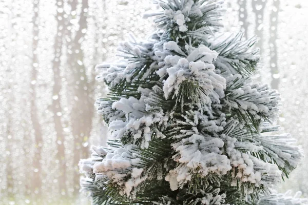 Weihnachtsbaum mit Schnee bedeckt - traditioneller Winterschmuck — Stockfoto