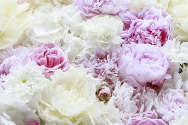 Taze çiçeklerden yapılmış doğal bir arka plan. Grafiksel kaynaklar