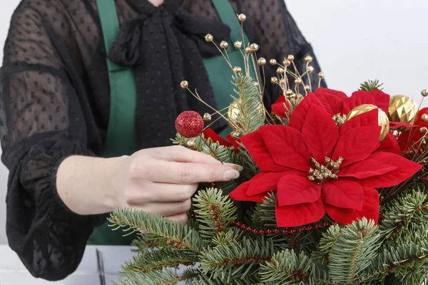 Цветок Работой Женщина Показывает Сделать Рождественские Украшения Пуансеттия Цветок Euphorbia — стоковое фото