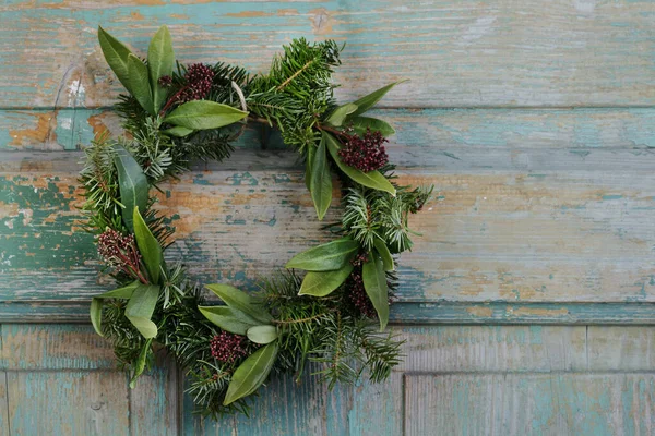 Grinalda Porta Tradicional Com Skimmia Skimmia Japonica Arbusto Perene Ramos — Fotografia de Stock