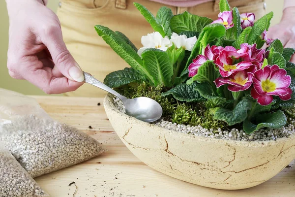 Floristin Bei Der Arbeit Frau Zeigt Wie Man Einfache Dekoration — Stockfoto