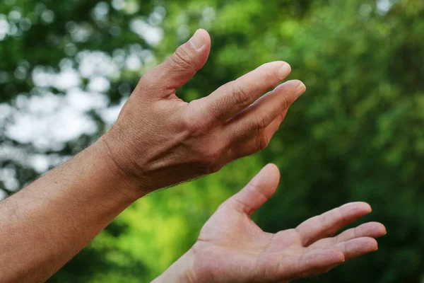 Gesture of begging hands on green background. Idea of help