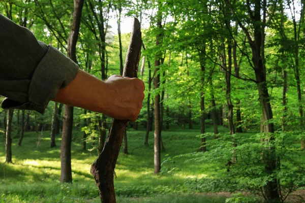 Erkek Gezgin Yazın Ormanda Yürür Dinlenme Zamanı — Stok fotoğraf