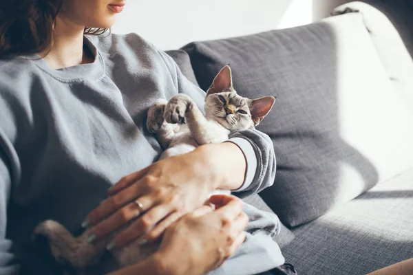 Hermosa mujer está sosteniendo y abrazando lindo Devon Rex gato . — Foto de Stock