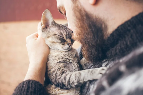 O focinho de um gato e a cara de um homem. Close-up de belo jovem e gato tabby - dois perfis . — Fotografia de Stock