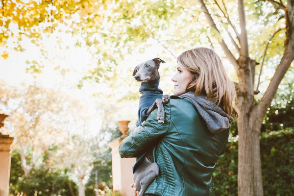 Museau Chien Visage Femme Gros Plan Jeune Belle Femme Lévrier — Photo