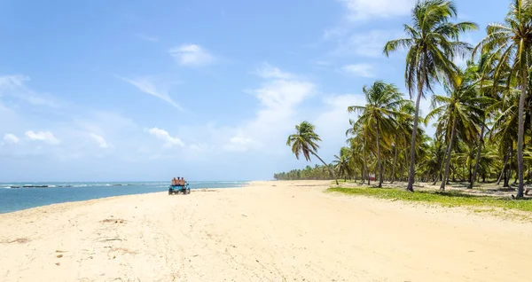 Gunga  beach , Alagoas state,Brazil . — Stock Photo, Image