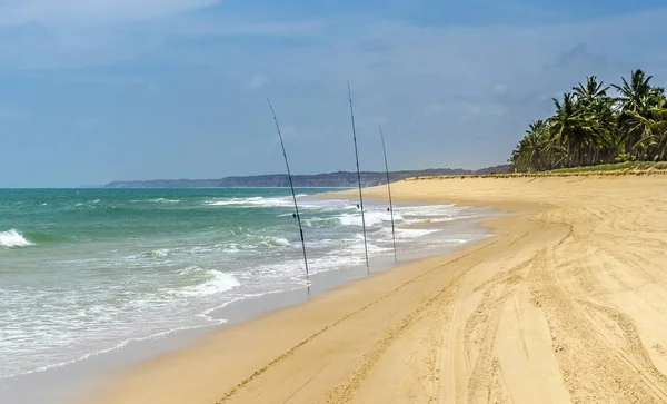 Gunga  beach , Alagoas state,Brazil . — Stock Photo, Image