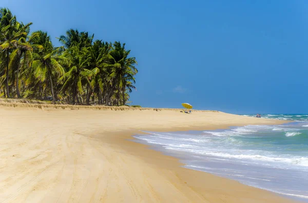 Gunga beach, Alagoas state, Brazil  . — стоковое фото