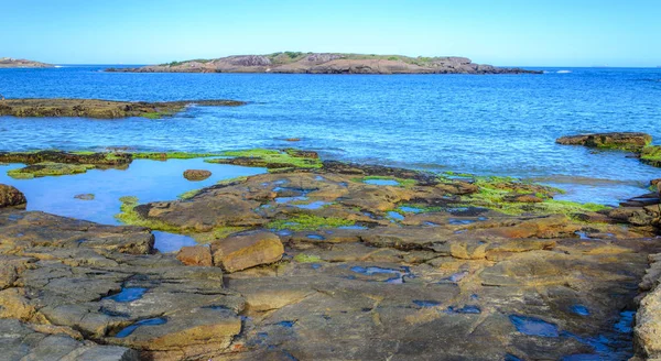 Brezilya sahil şeridi. Vitoria, Espirito Santo .