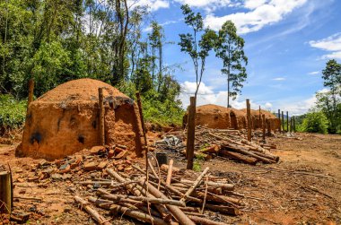 Minas Gerais, Brezilya için okaliptüs çiftlikte kömür ocağı.
