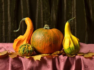 Natürmort kabaklar tablo üzerinde sonbahar yaprakları