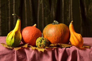 Natürmort kabaklar tablo üzerinde sonbahar yaprakları
