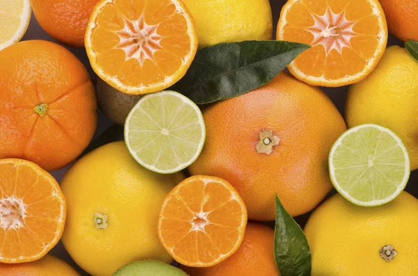 Verscheidenheid van sappige citrusvruchten — Stockfoto