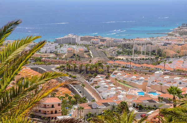 Pitoresk olağanüstü manzara güzel tesis costa Adeje tenerife, Kanarya Adaları, İspanya — Stok fotoğraf