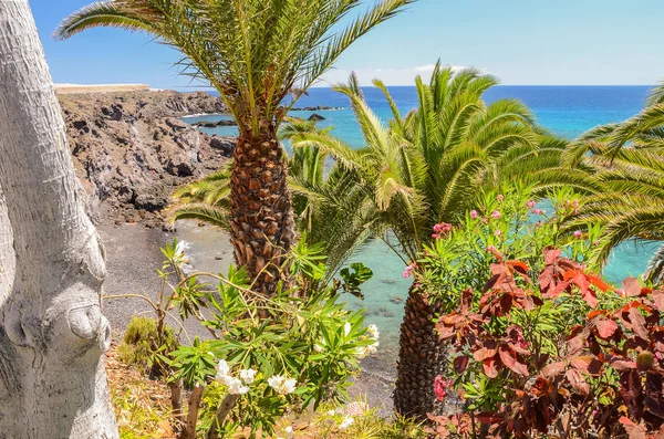 Praia pitoresca e rochas vulcânicas em Alcala, Tenerife, Espanha — Fotografia de Stock