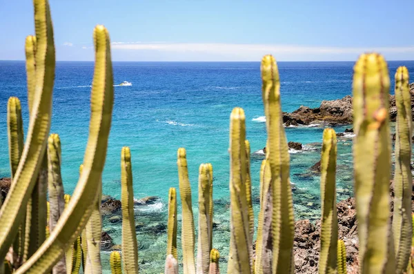 テネリフェ島、スペインのプラヤ ・ デ ・ San Juan で豪華な青緑色の岩湾 — ストック写真