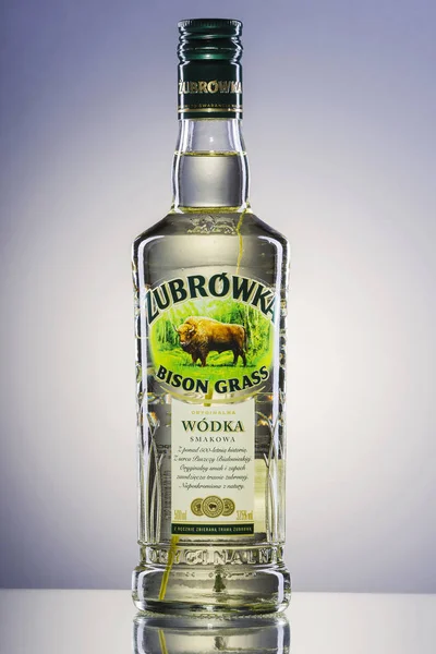 Zubrowka grass  flavored vodka on gradient background. — Stock Photo, Image