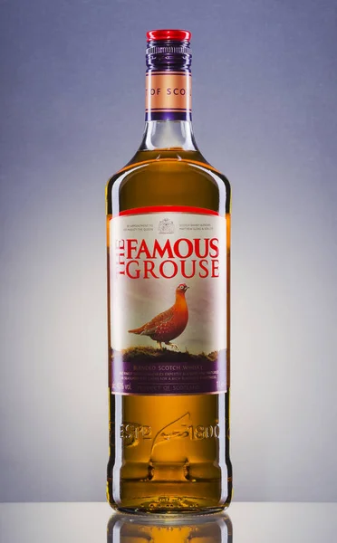 Famous Grouse blended whisky na tło gradientowe. — Zdjęcie stockowe