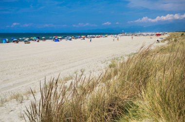 ısmarlayarak İtalyan sandy beach marina di vecchiano pisa, Toskana İtalya yakın tarihinde