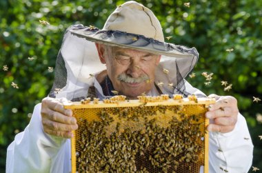 arıcı ile petek arı kovanı portresi       