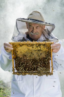 arıcı ile petek arı kovanı portresi       