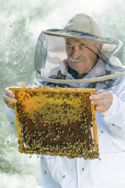 arıcı ile petek arı kovanı portresi       