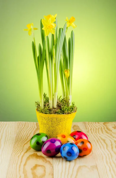 Colorful Dyed Easter Eggs Wooden Table — Stock Photo, Image