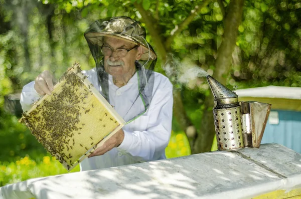 Senior Bijenhouder Die Het Voorjaar Bijenstal Inspecteert — Stockfoto