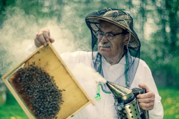 Apiarista Senior Haciendo Inspección Colmenar Primavera — Foto de Stock