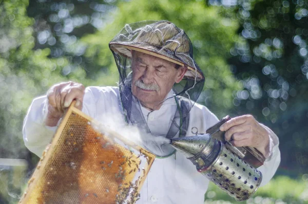 Apiarista Anziano Apiario Fare Ispezione Primavera — Foto Stock