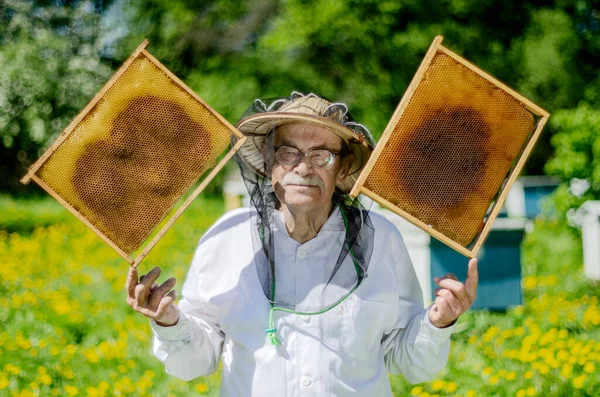 Vrchní Včelař Včelařské Inspekce Jaře — Stock fotografie