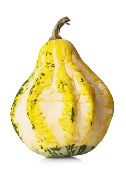 Decorative pumpkin on white — Stock Photo, Image