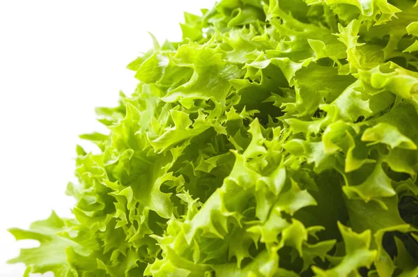 Fresh lettuce salad. Green background — Stock Photo, Image