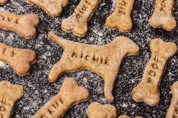 Homemade oatmeal dog treats with carrots — Stock Photo, Image