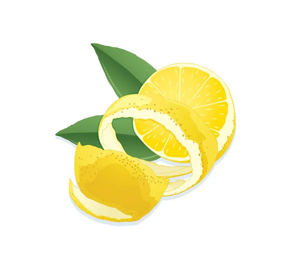 Lemon irisan dengan daun . - Stok Vektor