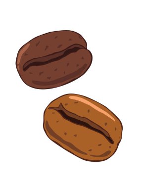 Beyaz arka planda kahve çekirdekleri.