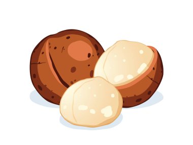 Beyaz arka planda izole edilmiş Macadamia fındıkları.