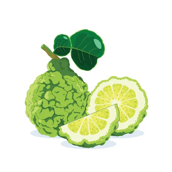 Kaffir Lime Και Μισό Φέτα Απομονωμένη Λευκό Φόντο — Διανυσματικό Αρχείο