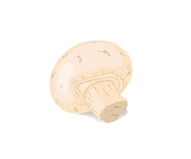 Taze şampiyon beyaz arkaplanda izole edildi.