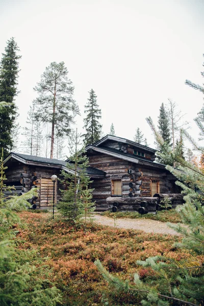 Maison Forestière Traditionnelle Ruka Kuusamo Finlande — Photo