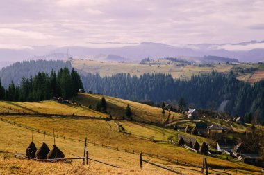 Putyla köyü yakınlarındaki doğal manzara, Ukrayna