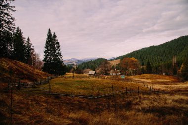Putyla köyü yakınlarındaki doğal manzara, Ukrayna