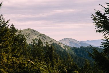 bulutlu arka planda dağları olan manzara