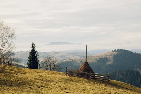 Natuurlijk Landschap Buurt Van Putyla Dorp Oekraïne — Stockfoto